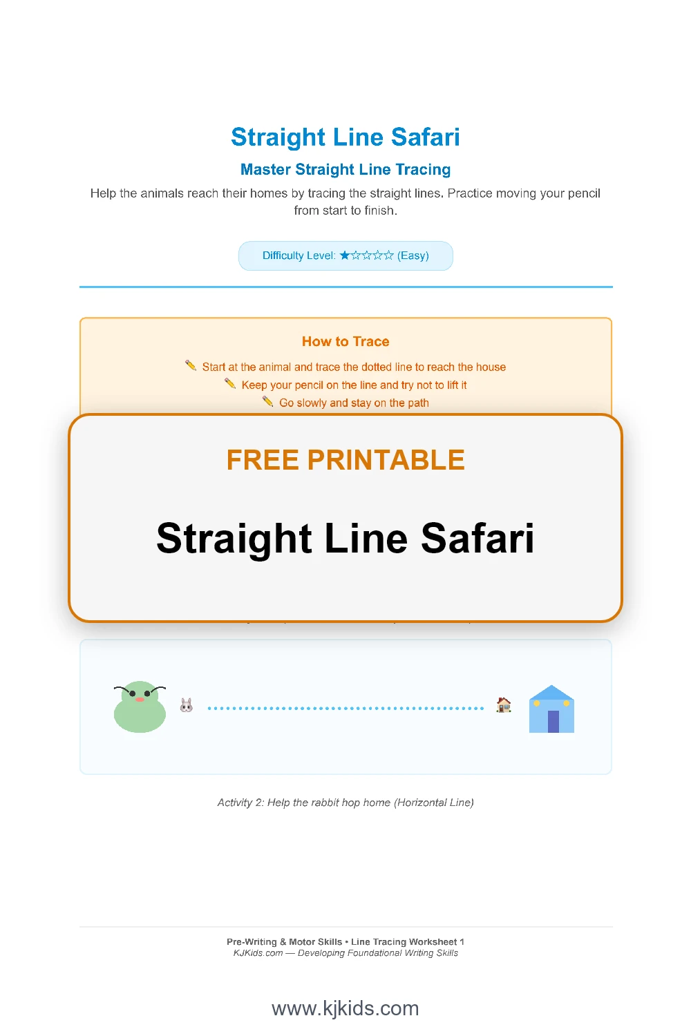 Straight Line Safari